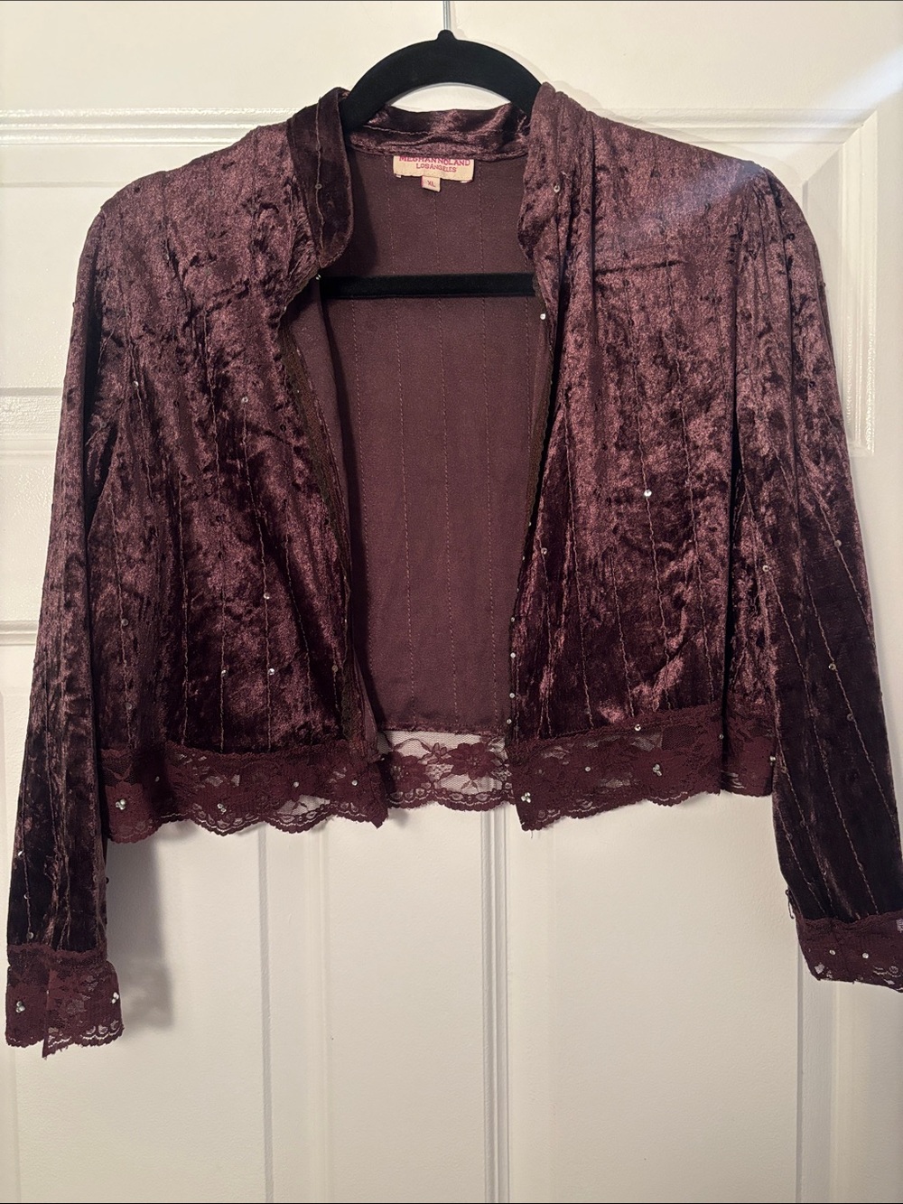Velvet Lace-Trim Cropped Blazer/Belaro in Wine Brown color